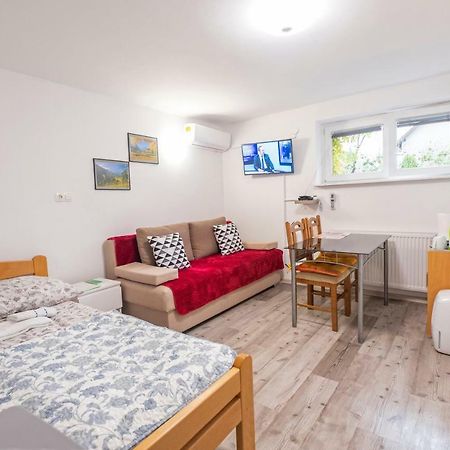 Newly Renovated Studio With Air Conditioner & Free Parking Любляна Екстериор снимка